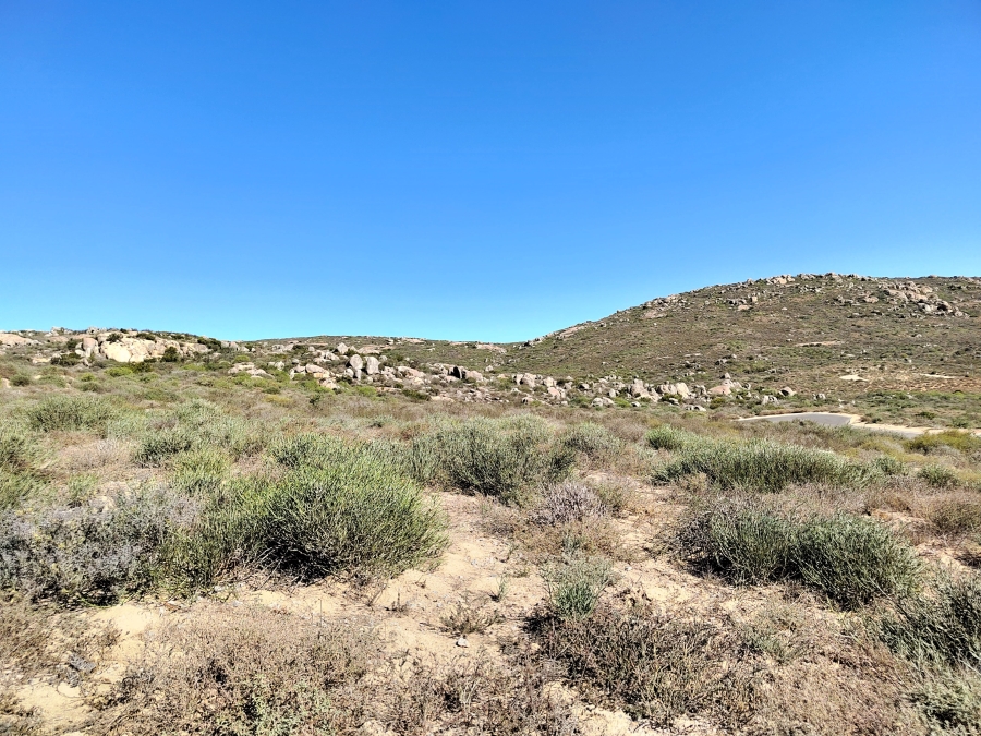 0 Bedroom Property for Sale in Steenbergs Cove Western Cape